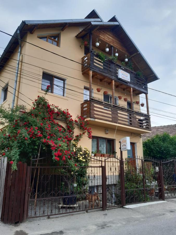 Pensiunea Cristiana Куртя-де-Арджеш Экстерьер фото